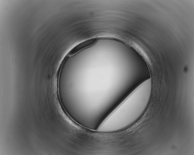 X0000099421092200805090745