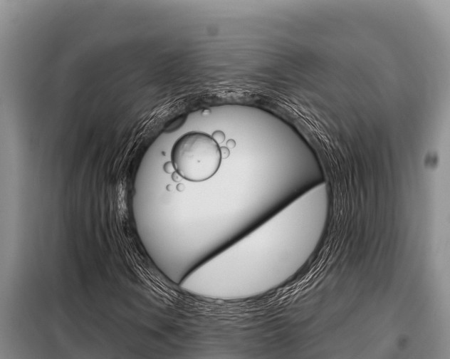 X0000099421106200805090744