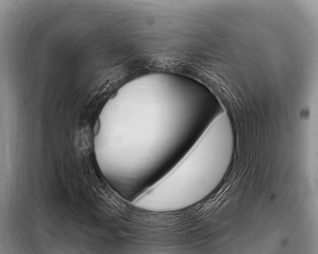 X0000099421107200805090744