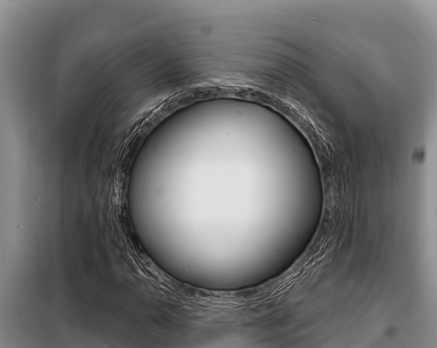 X0000099421110200805090744