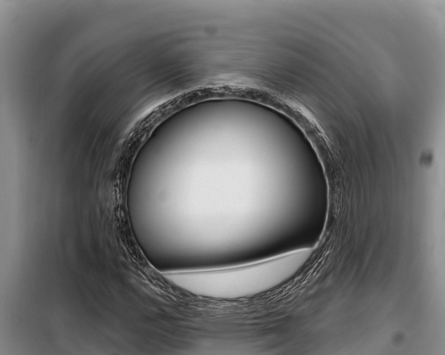 X0000099421112200805090744
