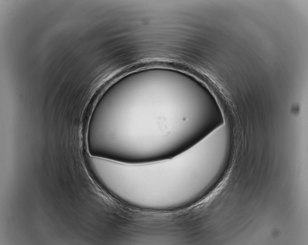 X0000099421113200805090744