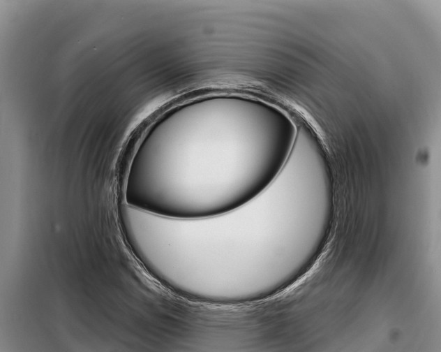 X0000099421114200805090744