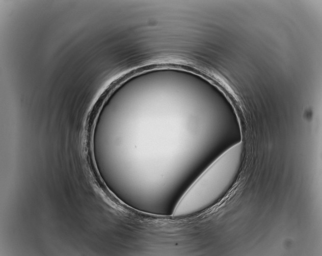 X0000099421116200805090744