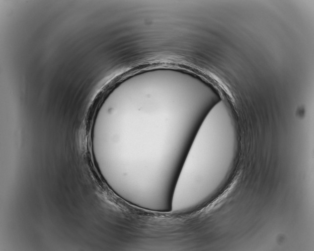 X0000099421117200805090744