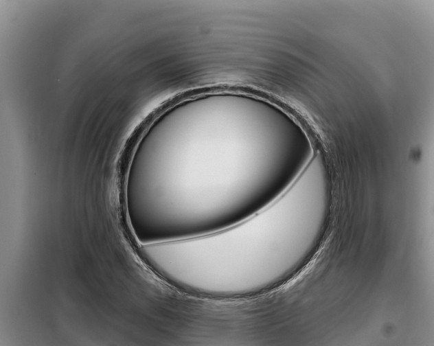 X0000099421118200805090744