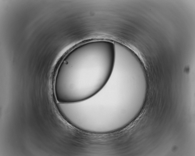 X0000099421120200805090744