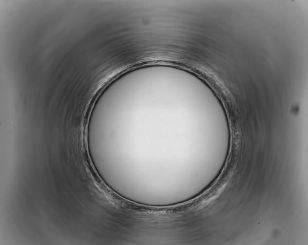 X0000099421121200805090744