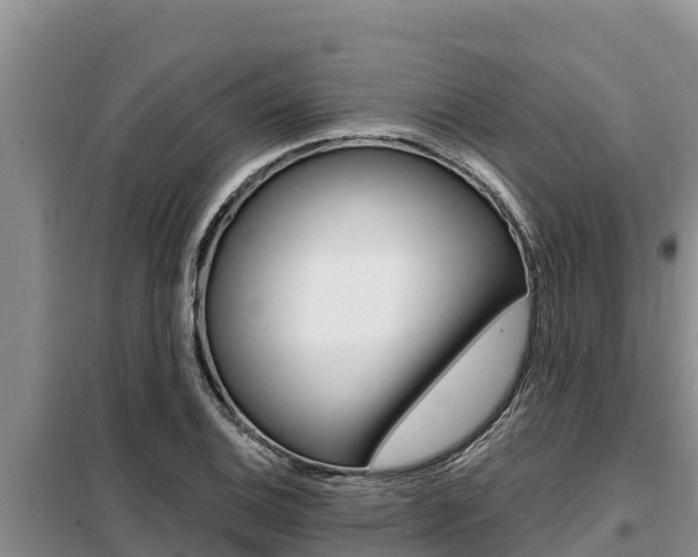 X0000099421124200805090744