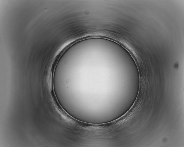 X0000099421127200805090744