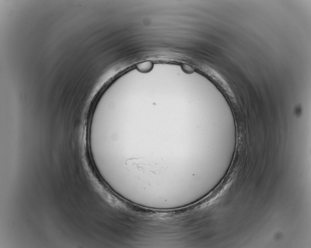X0000099421130200805090744