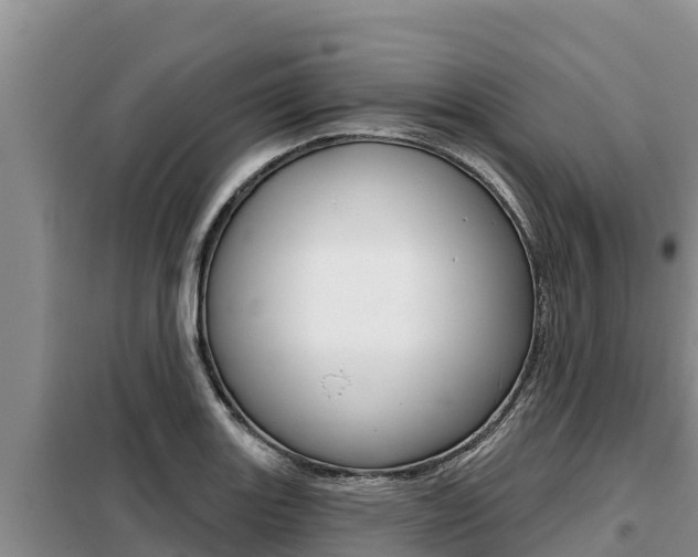 X0000099421131200805090744