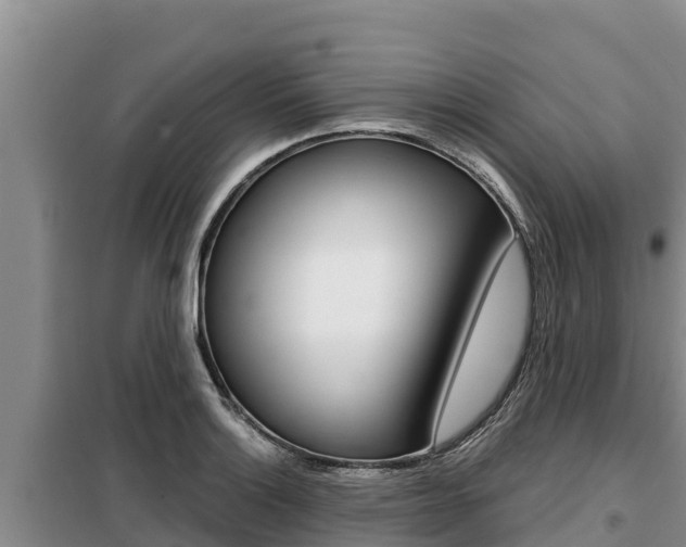 X0000099421132200805090744