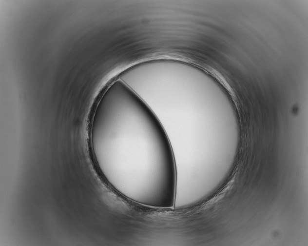 X0000099421133200805090744