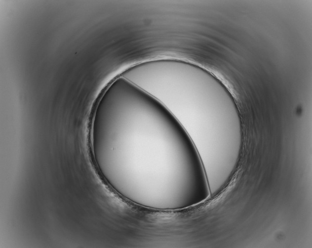 X0000099421134200805090744