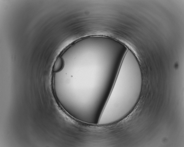 X0000099421135200805090744