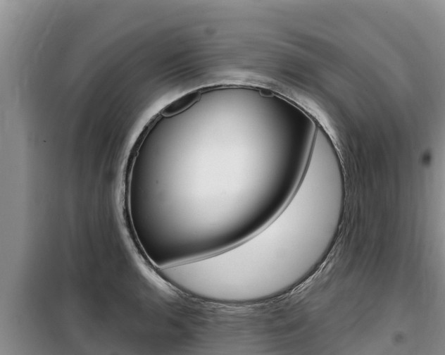 X0000099421136200805090744