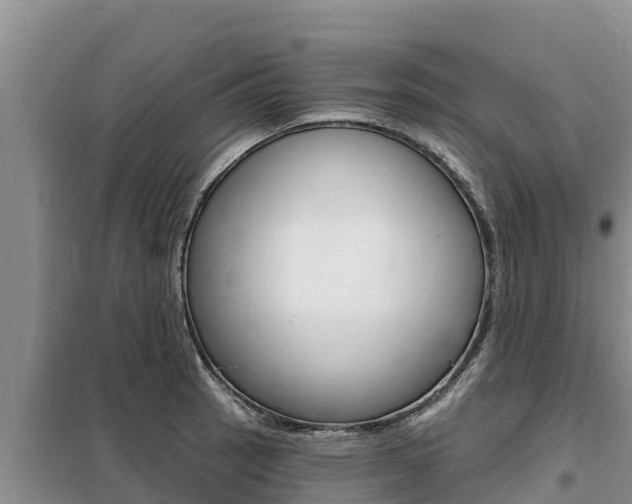 X0000099421137200805090745