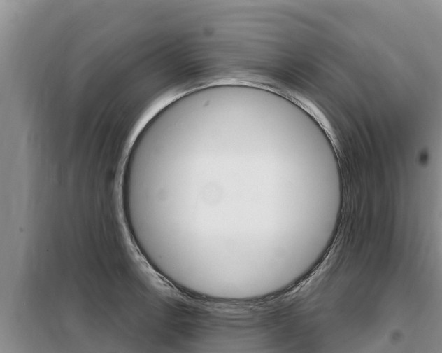 X0000099421138200805090745