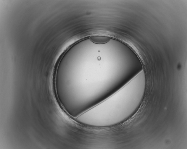 X0000099421139200805090745