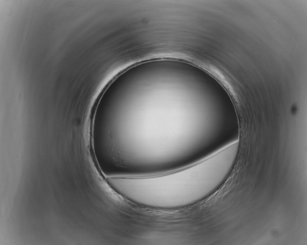 X0000099421140200805090745