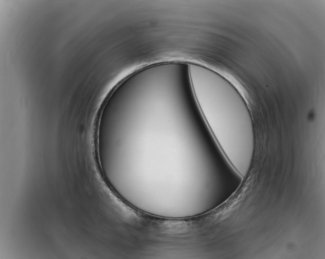 X0000099421142200805090745