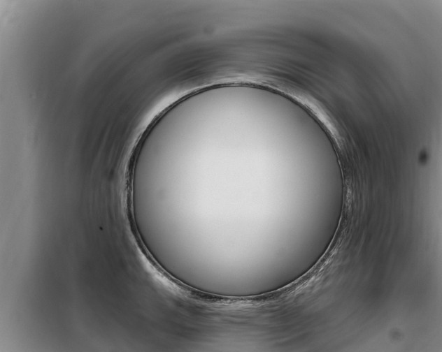 X0000099421143200805090745