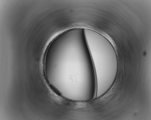 X0000099421144200805090745