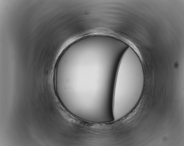 X0000099421146200805090745