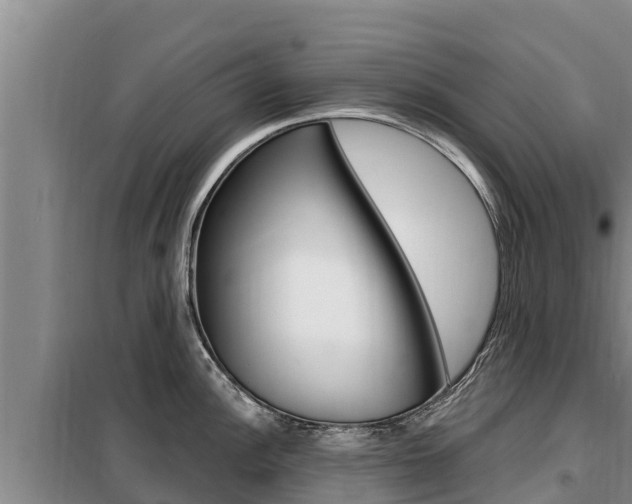 X0000099421148200805090745