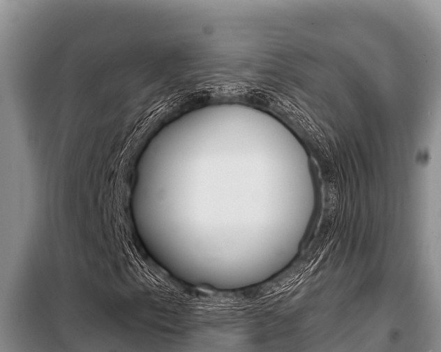 X0000099421153200805090744