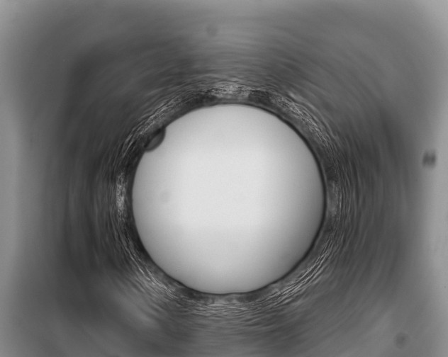 X0000099421154200805090744