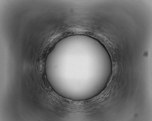 X0000099421157200805090744