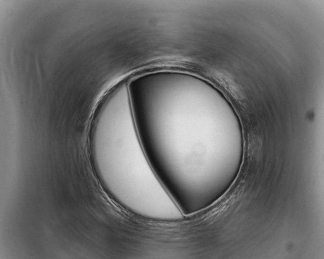 X0000099421164200805090744