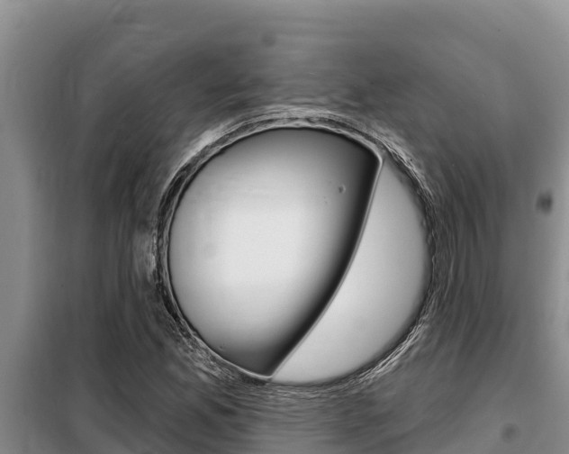 X0000099421165200805090744