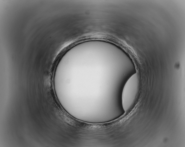 X0000099421166200805090744
