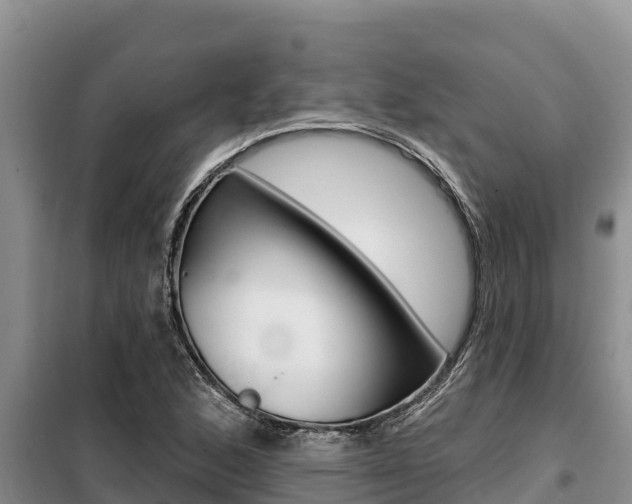 X0000099421168200805090744