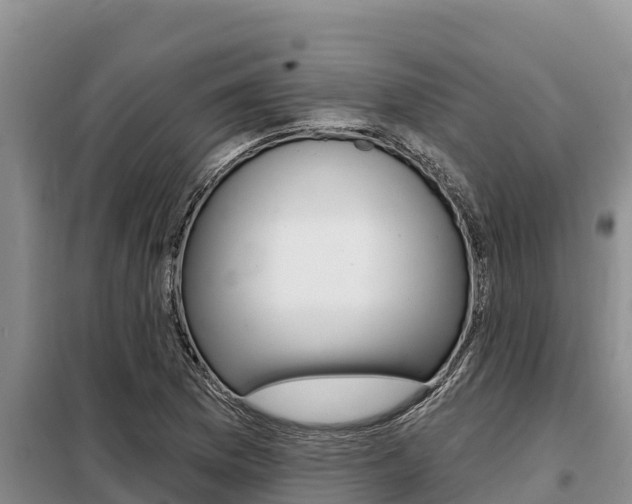 X0000099421169200805090744