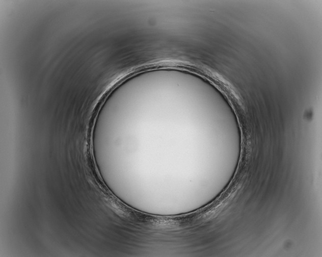 X0000099421170200805090744