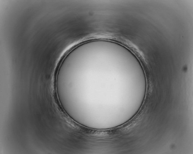 X0000099421174200805090744
