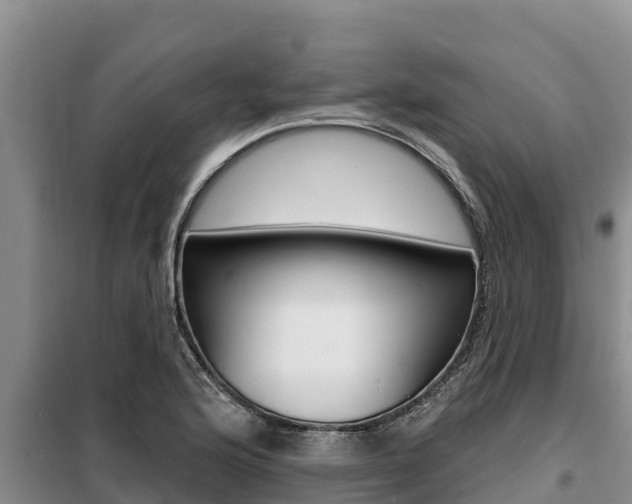 X0000099421176200805090744