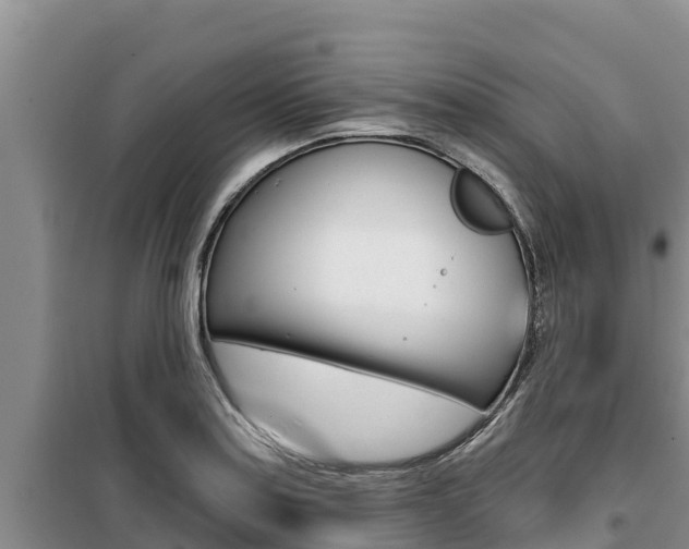 X0000099421179200805090744