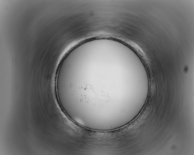 X0000099421183200805090744