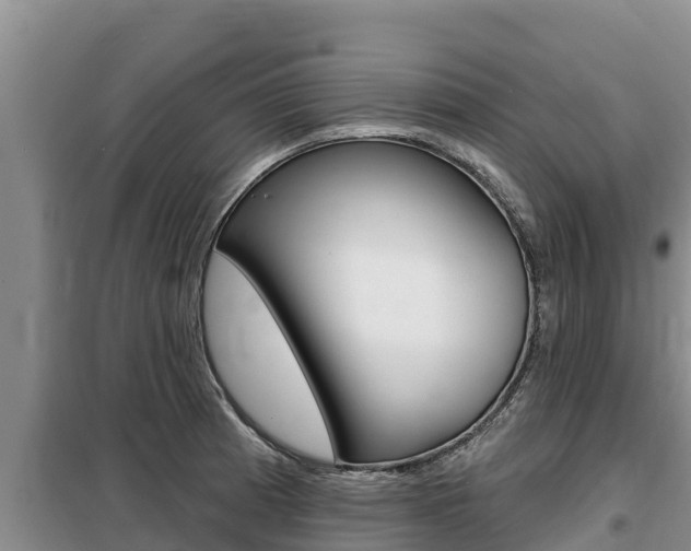 X0000099421185200805090744