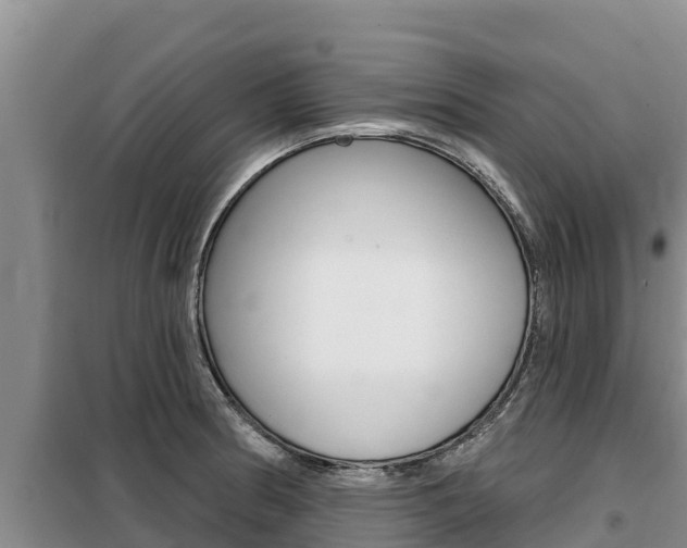 X0000099421186200805090744