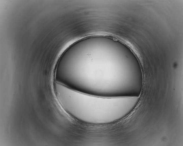 X0000099421187200805090744