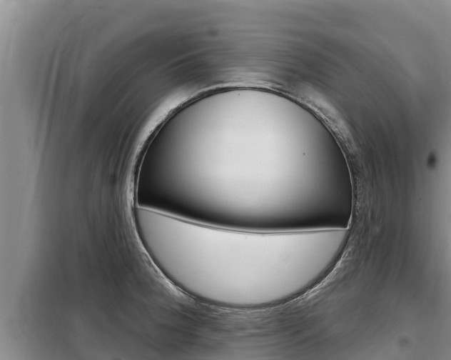 X0000099421188200805090744