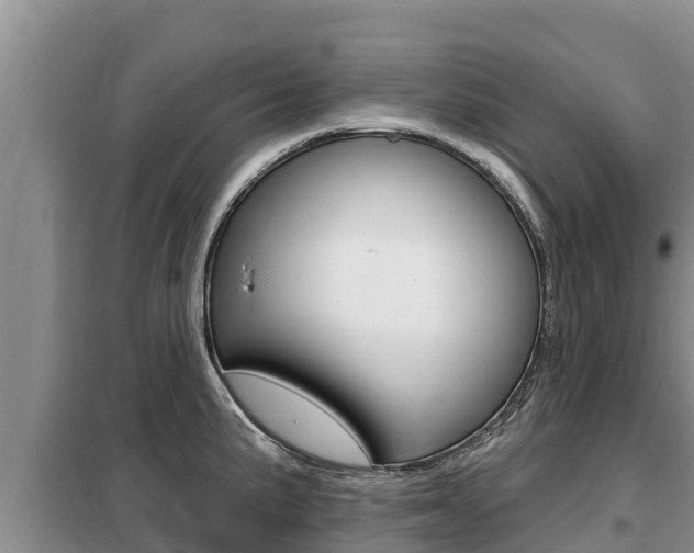 X0000099421191200805090743