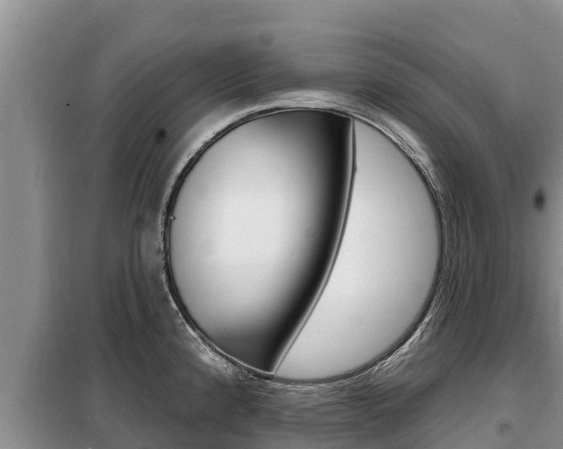 X0000099421192200805090743