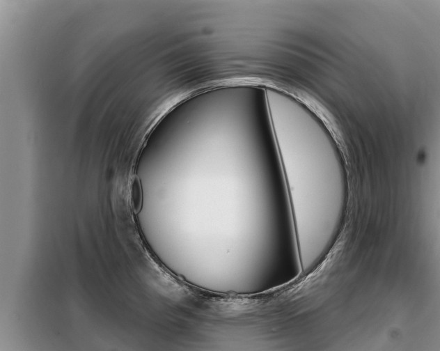 X0000099421193200805090743